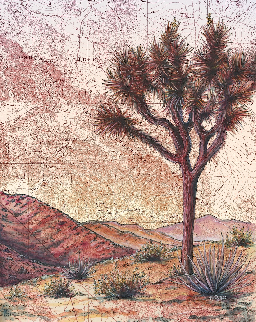Joshua Tree National Park Art Print: Vintage Topography Map - Etsy