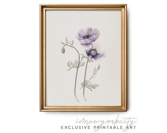 Purple Anemones Botanical Illustration, Neutral Antique Print, Rustic Vintage Kitchen Decor, Printable Wall Art, Instant Digital Download