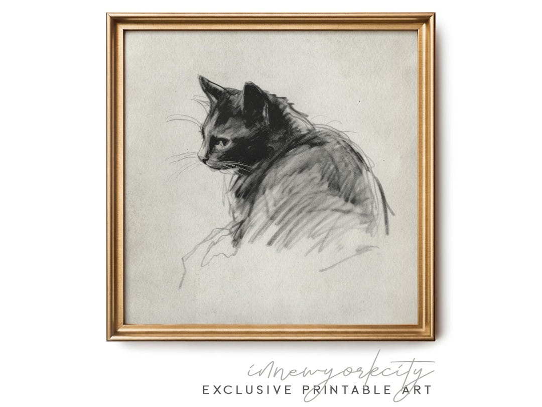 Black Cat Digital Wall Art Print – Charcoal Drawing Pet Portrait ...