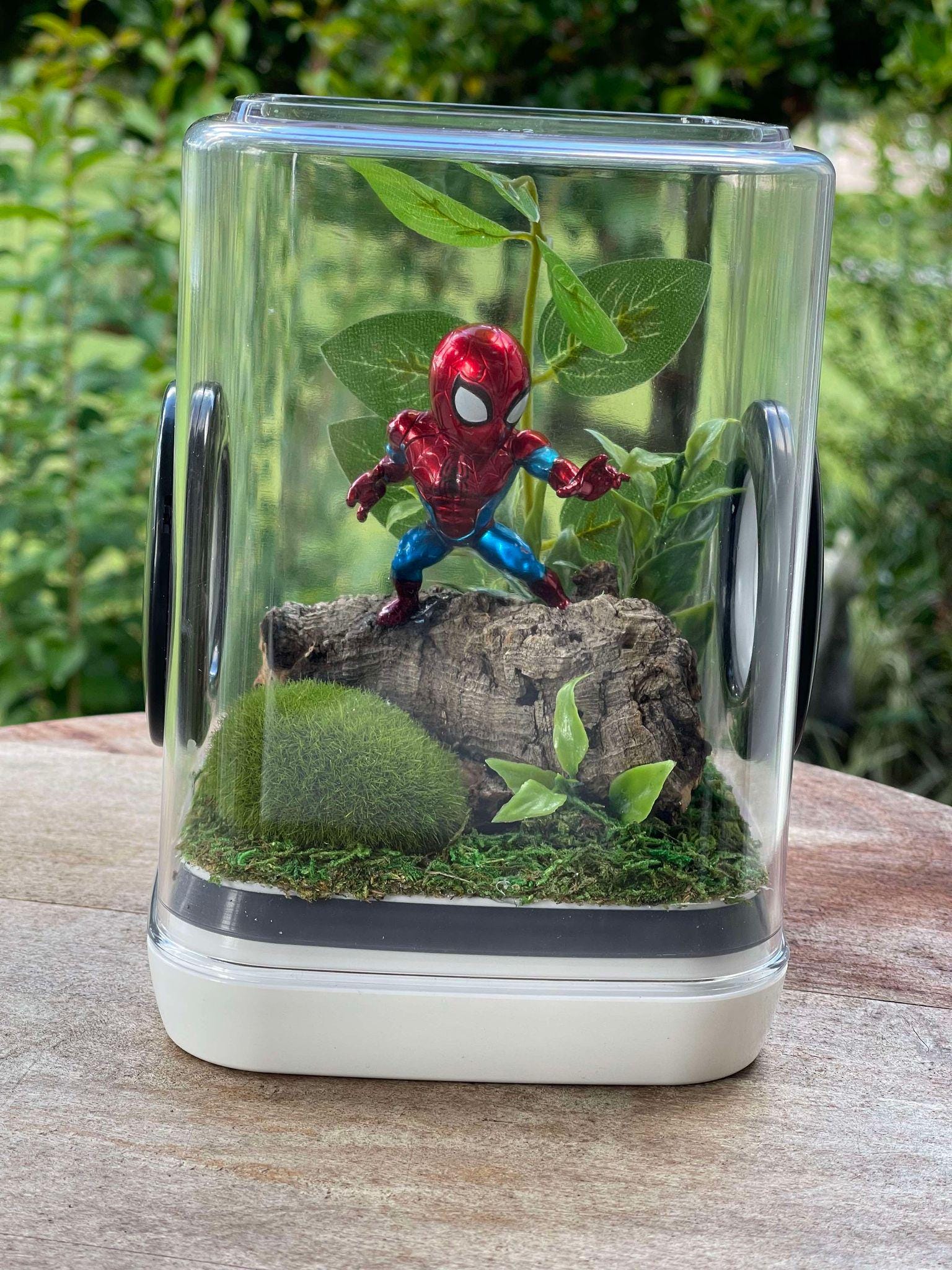Spider Man Jumping Spider Enclosure, 5x5x7 Spider House, Spider