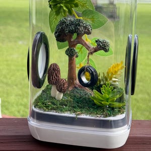Tire swing jumping spider enclosure