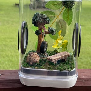 Reifenschaukel Springspinnengehege mit Igel