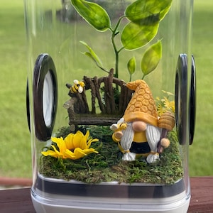 Bumble bee jumping spider enclosure