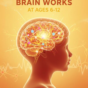 Puede incluir: Una portada de libro con fondo degradado naranja cálido que muestra la silueta de una cabeza infantil con una ilustración brillante y detallada de un cerebro. El texto dice: HOW YOUR CHILD'S BRAIN WORKS AT AGES 6-12 y A GUIDE FOR PARENTS.