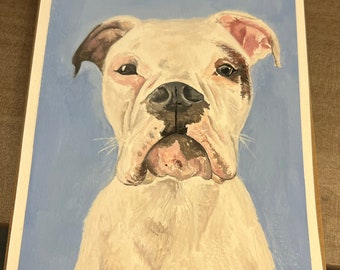 Custom Pet Portraits