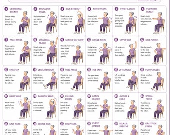 30 Day Chair Tai Chi Challenge for Seniors Daily Seated Tai Chi Exercises fitness printable | instant download | printable workout