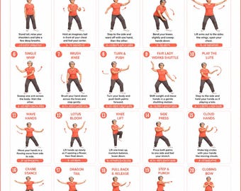 Tai Chi Chair Workout For Women PDF, Printable Seated Tai Chi For Ladies instant download | printable workout