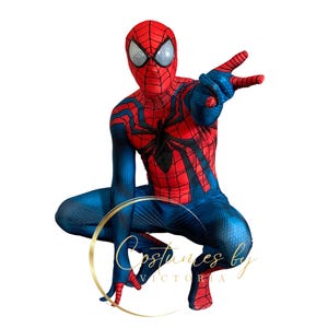 May include: A red and blue Spiderman costume with a black spider web design. The costume has a mask with large white eyes.