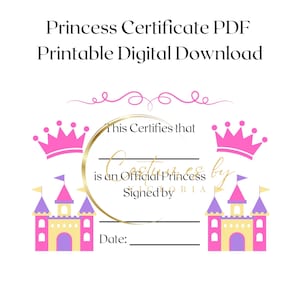 Printable Princess Certificate for Childrens Birthday Parties, Princess Theme Canva Template Digital Download PDF: Kids Birthday Party Idea