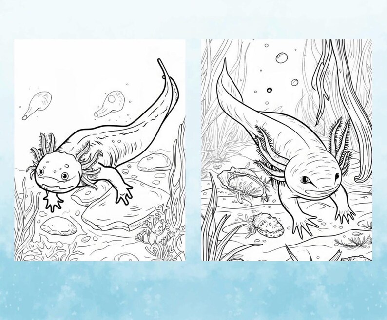 Axolotl Digital Coloring Book Printable Cute and Relaxing Axolotl