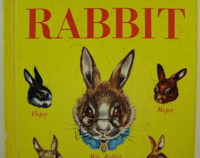 Peter Rabbit, Vintage Children's Book - Etsy