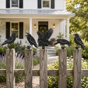 May include: Five black metal crow silhouettes mounted on top of wooden fence posts. Each crow is depicted in a different pose, including standing, calling with an open beak, wings spread in flight, pecking downward, and perched looking forward.