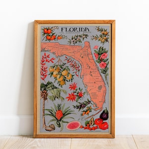 Op de afbeelding: Een ingelijste vintage kaart van Florida, met de omtrek van de staat in koraal tegen een grijze achtergrond. De kaart is versierd met illustraties van sinaasappels, ananassen en andere vruchten en bloemen, met de tekst "FLORIDA THE EVERGLADE STATE".