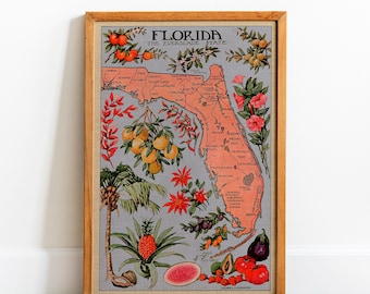 Vintage Florida Map: 1917 Natural Resources Poster, Ready to Hang