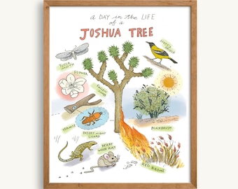 Joshua Tree Art Print, A Day in the Life of a Joshua Tree, Gift, Poster, California