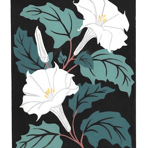 May include: A botanical illustration of white trumpet flowers with yellow centers and green leaves against a black background. The flowers are in full bloom, with a bud visible. The leaves are a mix of teal and dark green.
