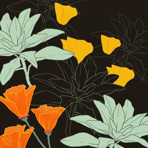 Poppies and White Sage, Art print, wall art, California native plants, nature illustration, California poppy, ready to frame