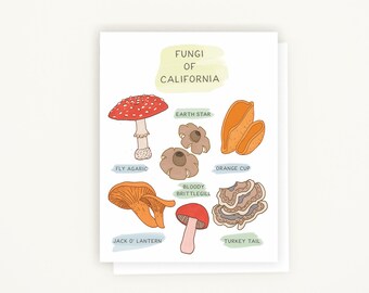 Blank Card, Note Card, Fungi of California