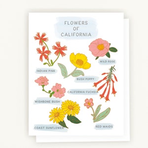 Set of 8 Cards, Flowers of California, Blank Inside