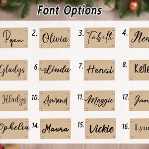 Op de afbeelding: Een grafiek met 16 verschillende lettertypen voor namen, genummerd van 1 tot en met 16. Elk lettertype wordt weergegeven op een bruin rechthoek met een witte achtergrond en zwarte tekst.