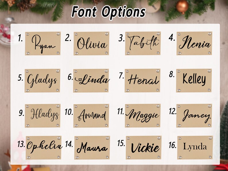 Op de afbeelding: Een grafiek met 16 verschillende lettertypen voor namen, genummerd van 1 tot en met 16. Elk lettertype wordt weergegeven op een bruin rechthoek met een witte achtergrond en zwarte tekst.
