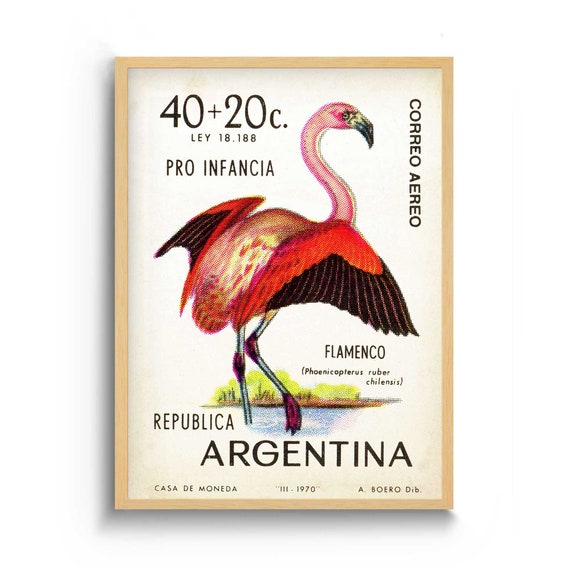 Bird Art and Pink Flamingo Art of Argentina Poster Print, Bird Wall Art Print, Tropical Art of Bird Wall Decor, Latin Art Travel Poster