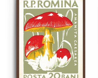 Mushroom Wall Art Print - Vintage Botanical Food Illustration