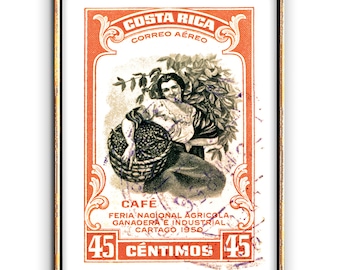 Lámina de café de Costa Rica, Arte del café, Regalo para amantes del café, Arte para la pared de la cocina, Póster de café, Letrero de cafetería, Arte de pared bohemio, Decoración rústica de pared