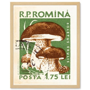 Botanical Art Print of Mushroom Decor and Mushroom Art and Food Art for Kitchen Wall Decor. Fungi Art print for Dining Room Wall Decor