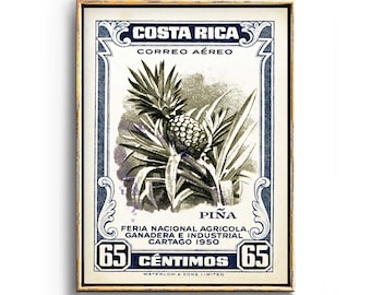 Kitchen Art and Rustic Wall decor, Botanical Wall Art Print of Costa Rica Pura Vida, Tropical Art, Boho, Coastal and Beach Art Home Decor
