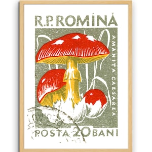 Botanical Art Print of Mushroom Decor. Food art and Mushroom Art for Kitchen Decor. Fungi Art print and Kitchen Wall Decor or Dining Room