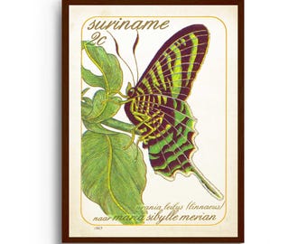 Schmetterling Wand Kunst Druck: Vintage Poster - Botanisch, Bunt