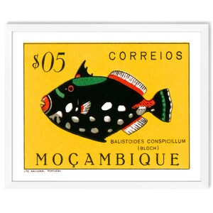 Impresión de arte de pared tropical y arte de playa. Impresiones de carteles de arte y viajes africanos de arte de peces tropicales. Arte colorido de la pared de la estampilla postal vintage