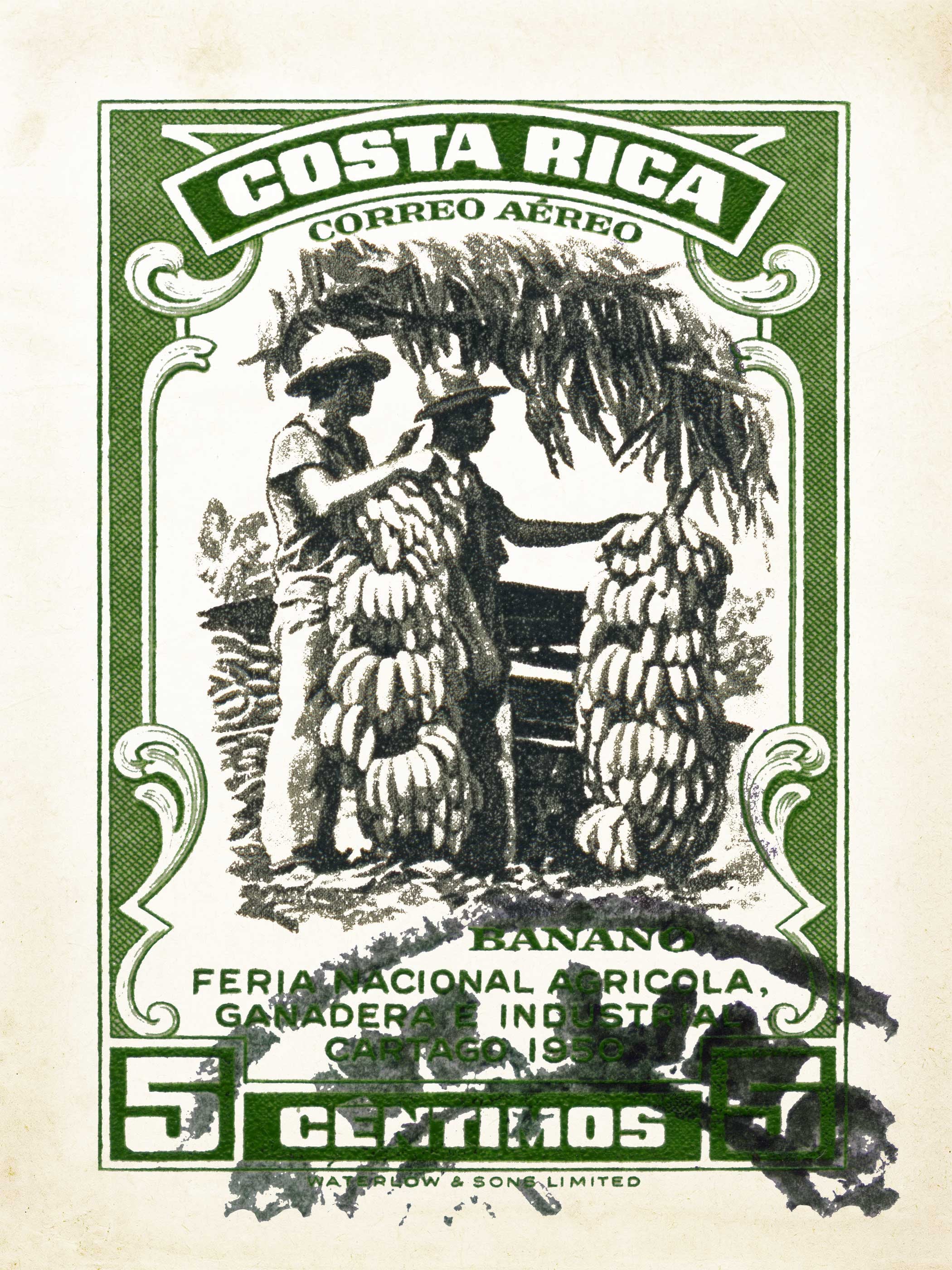 Costa Rica Art Print and Tropical Wall Art for Vintage Decor Etsy