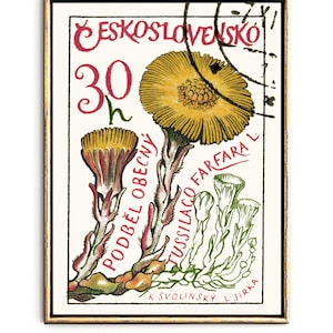 Botanical Wall Art print and Flower Art, Floral Print of Art Nouveau Poster, Czech art, Whimsical Wall Art of Illustration art, Europe print