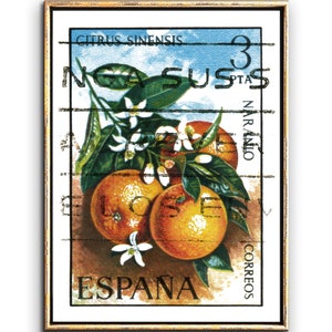 Botanical print poster and Kitchen and Dining Wall art decor, Food art, Floral Art print, landscape and nature wall art, Spanish art