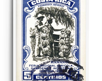 Stampe artistiche del Costa Rica e decorazioni murali tropicali per arredamenti vintage e in stile boho. Poster del Costa Rica e stampe di viaggio con arte centroamericana.