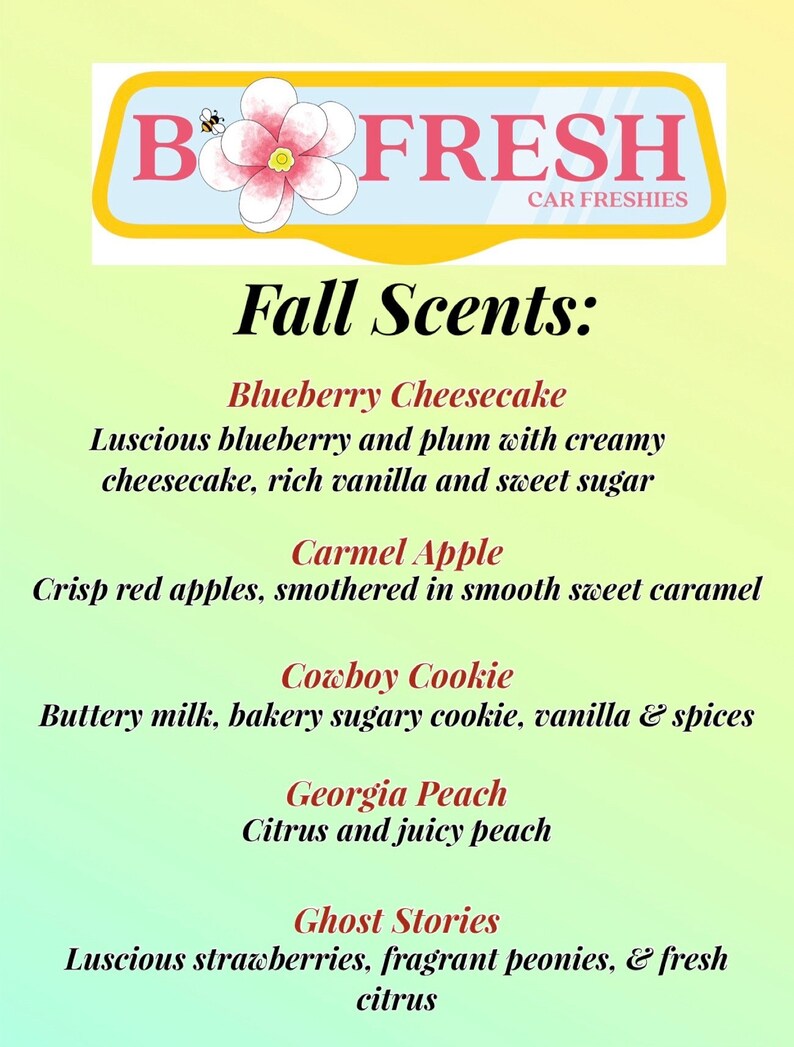 Bow Disco Car Freshie, Car Scent, Air Freshener, Cute Car Freshie, Car ...