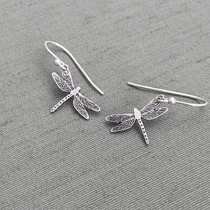 May include: A pair of silver dragonfly earrings with delicate wings and a textured finish.