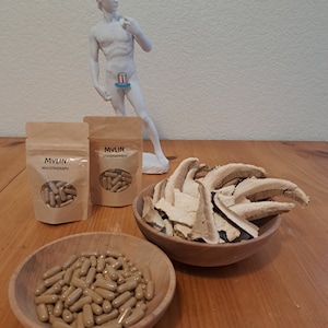 Mycotherapy Supplements, Reishi