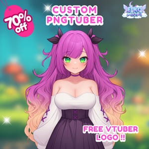 Custom Anime PNGtuber Model: Streaming Character Commission