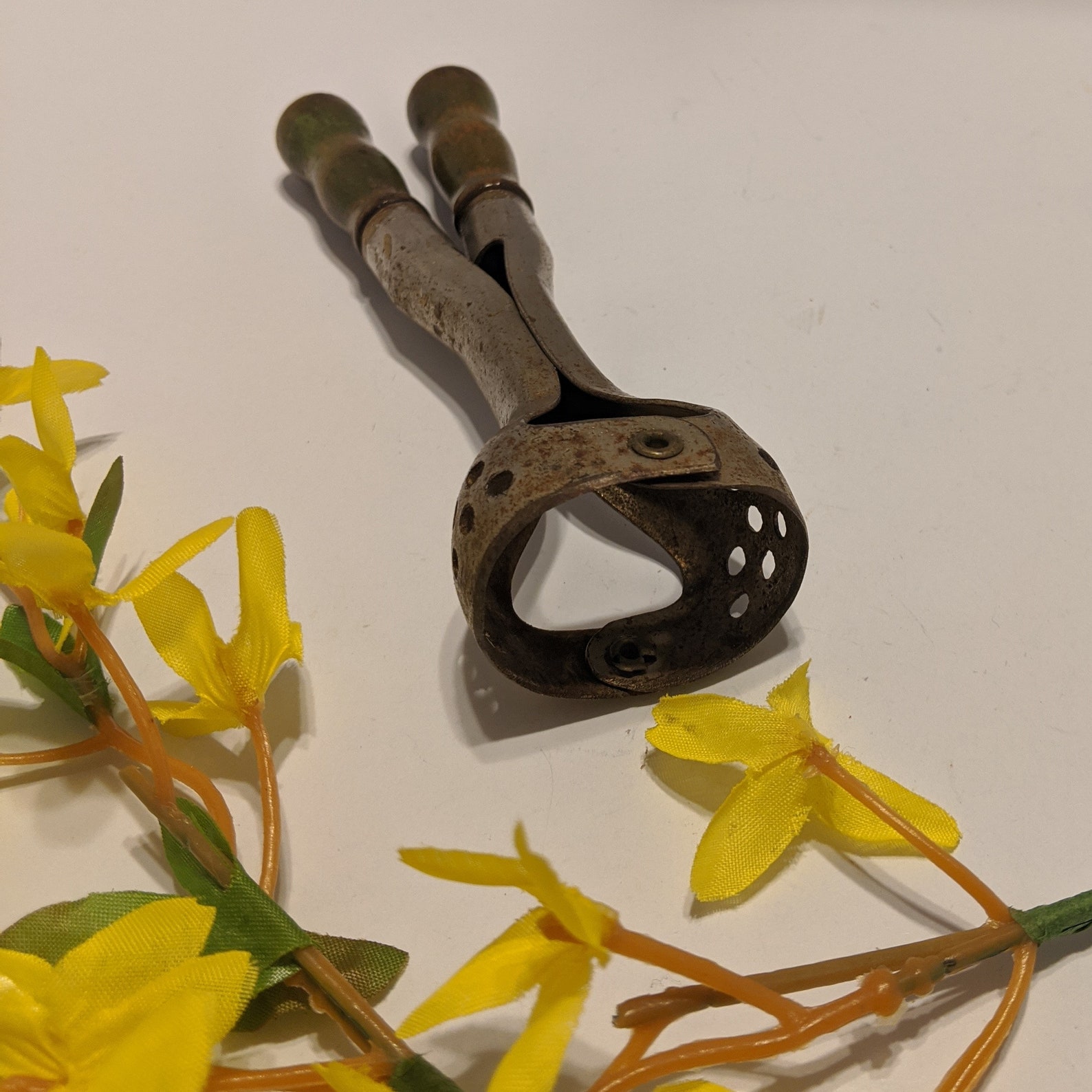 Vintage Grapefruit Corer With Green Handles Citra Products Etsy