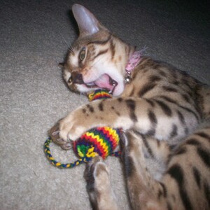 Knit Catnip Mouse Cat Toy with Bright Rainbow Stripes image 5