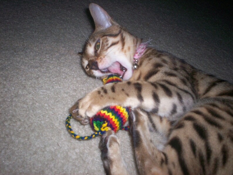 Knit Catnip Mouse Cat Toy with Bright Rainbow Stripes image 5