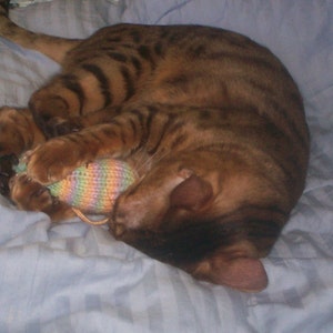 Knit Catnip Mouse Cat Toy is Blaze Orange Cotton image 4
