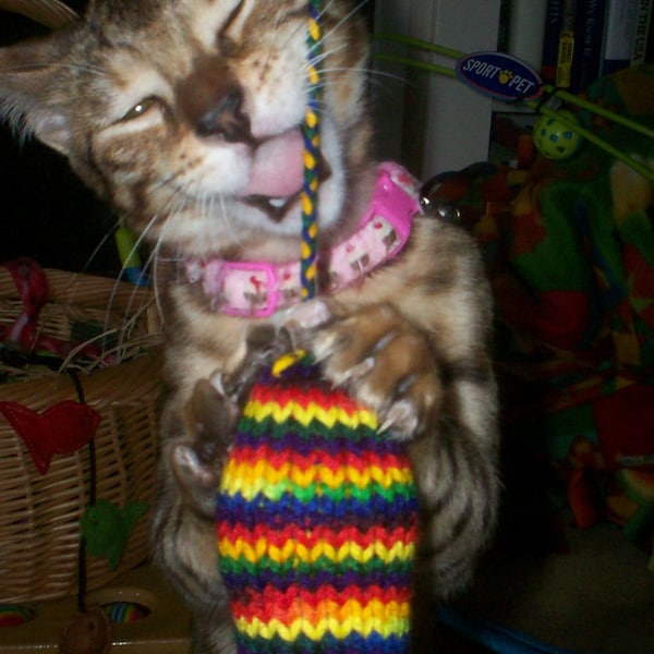 Knit Catnip Mouse Cat  Toy with Bright Rainbow Stripes