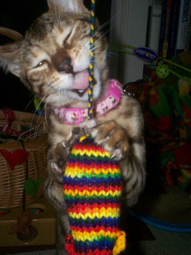 Knit Catnip Mouse Cat Toy with Bright Rainbow Stripes image 1