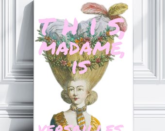 Vintage Hairstyle Fashion Silk Poster, Marie Antoinette Movie Quote, Home Decor, Wall Art, French Rococo Print, Versailles Movie Memorabilia