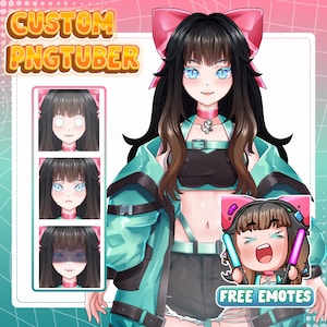 Modelo PNGTuber Personalizado, Avatar Animado Twitch, Veadotube Mini Reactivo, Assets Arte Streamer, VTuber Personalizado, Listo para Debut