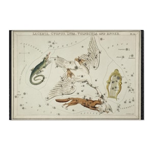 Kelestial Constellation Regionsteppich, Sternbild-Vorratsteppich, Sternenkarte für den Innenbereich, Geschenk für Astronomie-Enthusiasten, Sternzeichen-Hausakzent, im Vintage-Stil